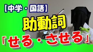 助動詞(三)「せる・させる」～文法シリーズ㉜～