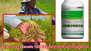 ថ្នាំកម្ចាត់ស្មៅ ហ្សេវេឡូ (Xevelo 120EC)