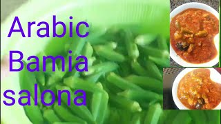 የባሚያ ወጥ አሰራር/Arabic Bamia Salona/