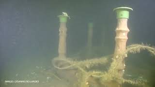 Long-lost Irish artifact found in the St. Lawrence River