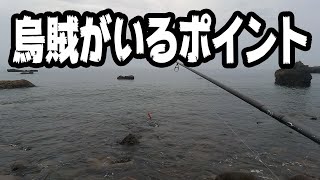 エギング【イカが居るポイント紹介】