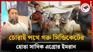 থাইল্যান্ড-মিয়ানমার থেকে উখিয়া রুটে চোরাই গরু আনেন সাদিক এগ্রোর ইমরান | Sadeeq Agro|Kalbela Special