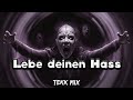 lebe deinen hass tekk mix