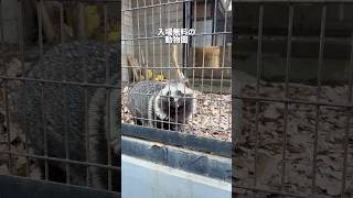 入場無料の動物公園に裏切られた😭