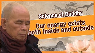 Our energy exists both inside and outside [Thich Nhat Hanh_Science of Buddha 13]