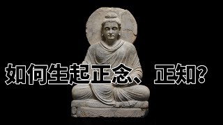 第七百三十六章 如何生起正念、正知？完全读懂巴利文大藏经（736）