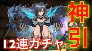 【パズドラ】完全勝利の神引きをした！龍契士＆龍換士ガチャ12連引いてみた！