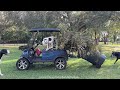 Funny Golf Cart Riding Great Dane Puppy Helps With Hurricane Yard Cleanup