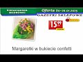 🐞 biedronka kwiaciarnia biedronki – nowa oferta od 23.01.2025 kwiatowe inspiracje i tanie kwiaty 🌸