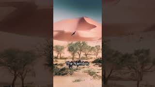 Namib Desert | Ancient Wonders and Thrilling Adventures in Namibia #TouristPlaces