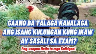 GAANO BA TALAGA KAHALAGA ANG ISANG KULUNGAN KUNG IKAW AY SASALI SA EXAM #chickenbreeding #backyard