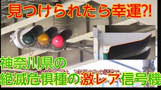 激レア‼川崎市のクチバシフード信号