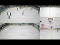 rangers vs sl chinstraps div 8 21st july icehq beer league ice hockey