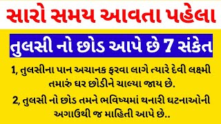 સારો સમય આવતા પહેલા તુલસી નો છોડ આપે છે 7 સંકેત | Vastu shastra | Tulsi puja