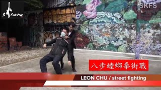 Eight-step praying mantis street fighting application  八步螳螂拳街戰應用 Leon Chu 朱思勳