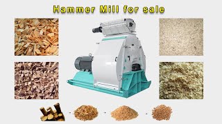 Unlock the Potential of Renewable Energy with Advanced Pellet Mill Technology