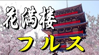 0102 花満楼　フルス　葫芦絲　ひょうたん笛　hulusi　日本フルス普及会　大牟田フルス協会 桜吹雪