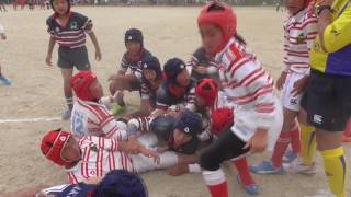 16.5.29 生駒ラグビー５年 奈良県交流大会決勝（前半）