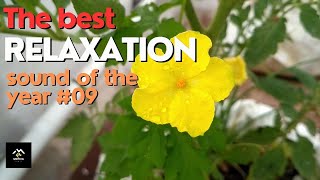 The best relaxation sound of the year #09