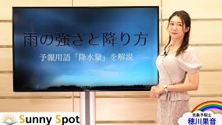 雨の強さと降り方…予報用語「降水量」を解説