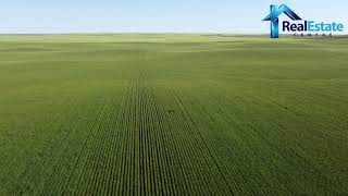 Good Cultivated Farm Land For Sale I Farm For Sale I Retlaw, Alberta