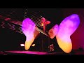 Sonic Butterfly Showcase Live at the Perkinson Center for the Arts