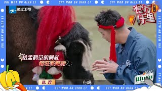 现实版“对牛谈情”？伯远陈欢想尽办法和牦牛培养感情！#食万八千里2 EP3 CLIP