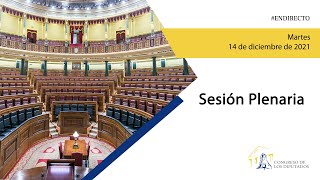 Sesión Plenaria (14/12/2021)
