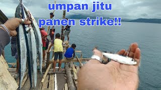 teluk palu , Donggala, panen Sambaran setelah hujan angin Reda ,nyampe pada putusan !!