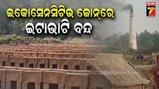 HC Takes Action Against Illegal Brick Kilns | ଅଭୟାରଣ୍ୟ ସୀମାରେ ବେଆଇନ ଇଟାଭାଟି, ବାଜିଲା ହାଇକୋର୍ଟଙ୍କ ଛାଟ