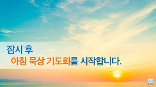 20241108 약속의 교회 아침묵상 기도회