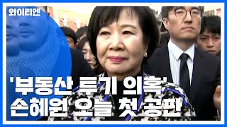 '부동산 투기 의혹' 손혜원 오늘 첫 공판 / YTN