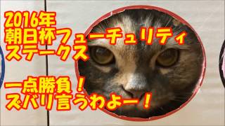 朝日杯フューチュリティステークス　一点勝負！迷った時のねこ頼み！