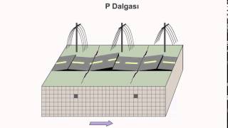 Deprem Dalgaları 2