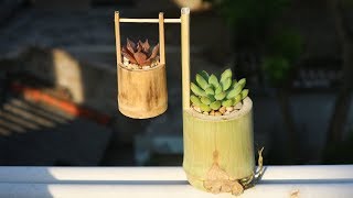 idea Pots Plants from bamboo | How to grow a mini lotus stone plant