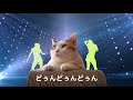 【猫のうた】『ちゃいスペースぷぅぷぅ』猫ラップ【しゃべる猫】