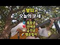 1월 12일 화 오늘의 운세 🦋 종합운•애정운•금전운