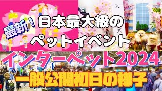 【速報】【インターペット2024】4月5日の様子！日本最大級のペットイベント！【東京ビッグサイト】