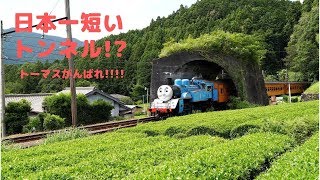 【4K】日本一短い！？トンネルをトーマスが通過！2019 大井川鉄道 SL【Japanese Real Thomas the Tank Engine】