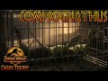 Jurassic world Chaos Theory season 3 compsognathus screen time