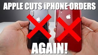 Apple cuts iPhone orders again! But why?