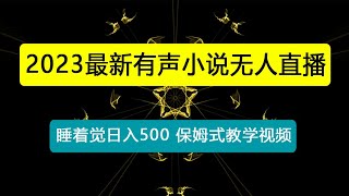 有声小说无人直播，睡着觉日入500，保姆式教学