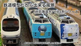 【鉄道模型走行】JR北海道キハ183系シリーズ#鉄道模型#鉄道カフェはるか#岐阜カフェ#jr北海道#キハ183系#旭山動物園号#走行シーン