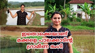 നെൽ വയലും,കുളവും,മീൻ പിടിക്കലും ഒക്കെ ആയി ഒരു പാലക്കാടൻ വ്ലോഗ്..... ഇതാണ് ഗ്രാമഭംഗി...Vlog with Sree