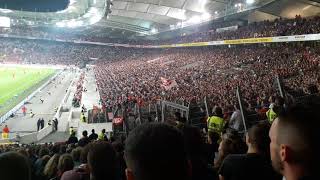 FC Köln Ultras - Du bist mein Verein
