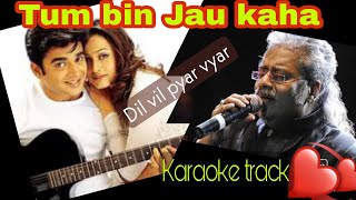 Tum Bin Jaaoon Kahan | Hindi Karaoke track | Dil vil pyar vyar | Hariharan | Madhavan