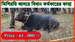 মিশিরডি আসরে এসেছেন বিধান বাবুর কাড়া 🔥Santosh mahato kara lorai 2021