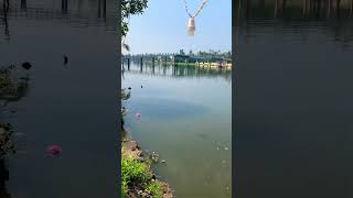 ഈ പള്ളി സെലിബ്രിറ്റി ആണ് PULINKUNNU PALLI and BRIDGES IN ALAPPUZHA |BEST MOVIE LOCATION IN ALAPPY