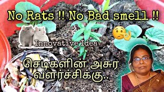 காய்கறி கழிவை இப்படி கொடுங்க | Easy Organic Compost Making for Maadithotam #terracegarden