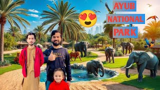 i Visit Ayub National Park in Rawalpindi 🥰 | Explore The Ayub National Park Zoo